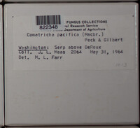 Image Associated With the Occurence